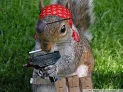 images-298
