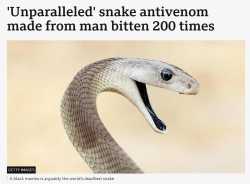 Screenshot 2025-05-03 at 07-38-56 &#039;Unparalleled&#039; snake antivenom made from man bitten 200 times - BBC News