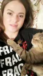 cats