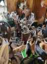 84-cats-in-one-room.-There-were-2-a-couple-of-years-ago_edited