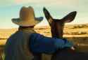 Joe-and-deer-best-friends-1013x700