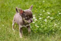 shutterstock_1798926553