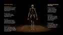 Homo_naledi-novataxa_2015-Berger-Hawks-deRuiter-Churchill-et-al_NatGeo-ii