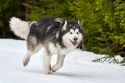 202105iStock-1257427111-scaled-1