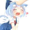 dogno