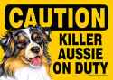 the pitbull of herding dogs