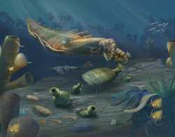 cambrian-sea