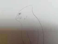 Humanoid Cyprinid