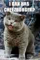 i can has