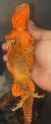 Screenshot_2025-05-15_211943