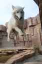 jump