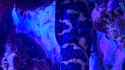 IMG-20250518-WA0002