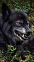 evil smile