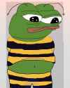 beecostume