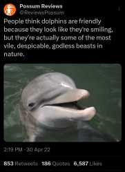 im