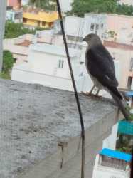IMG-20250523-WA0000