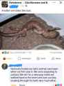 Screenshot_20250522_130409_Facebook