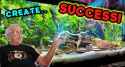 ff_success