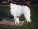big and small
