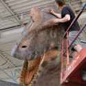 blue-rhino-studios-newest-life-sized-t-rex-v0-p0o6slv80lkb1-3463822364