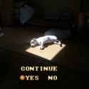 1623265432522