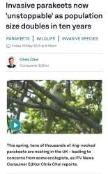 Screenshot_20250531_012352_Chrome