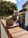 image000000(3)