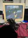 ps2cat