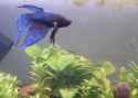 PXL_20230826_174845396_exported_3464