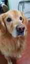 IMG-20250512-WA0000