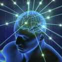 huge brain