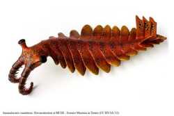 redditalocaris
