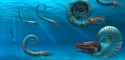 header-ammonites[1]