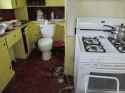 Toilet-in-kitchen