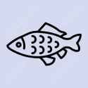 pngtree-carp-line-icon-png-image_9088744