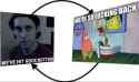 schizo cycle
