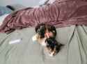 Compress_20250605_111941_1519