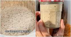 pet-yeast