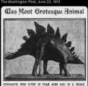 steg