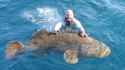 grouper