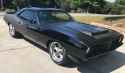 black barracuda