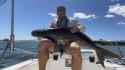 20220928-news-nef-COBIA