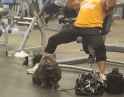 workout partner