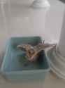 IMG-20250607-WA0007