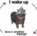 1739361613745212