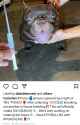 1706756662643