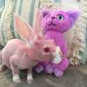 hairless-rabbit-genetic-disorder-mrbigglesworthrabbit-16-5ea6c3901ce8b__700