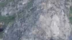 1750534946576462