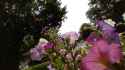 WIN_20210702_15_22_22_Pro (2)