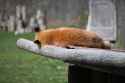 tired2